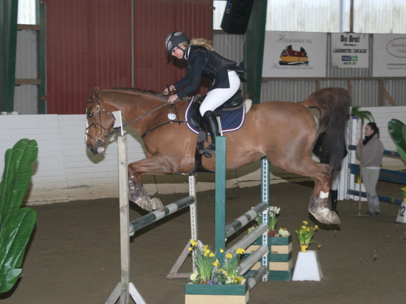 20080406_153248 Johanna Lassnack Jupiter